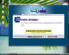 Screenshot of the home page being displayed in 
                     IE 9 on Windows Vista